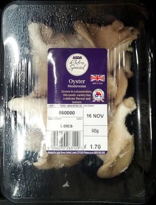 Oyster Mushrooms