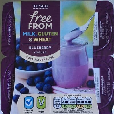 Blueberry Soy Yogurt
