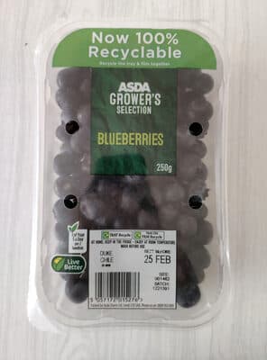 Blueberries
