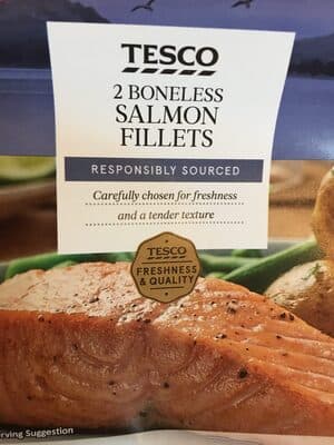 Salmon Fillets