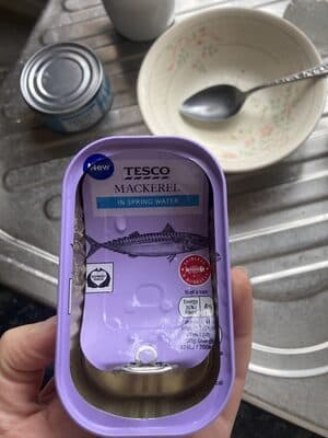 Mackerel In Spring Water