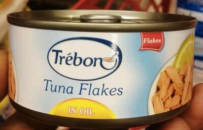 Trbon