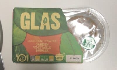 Garden vegetable burger
