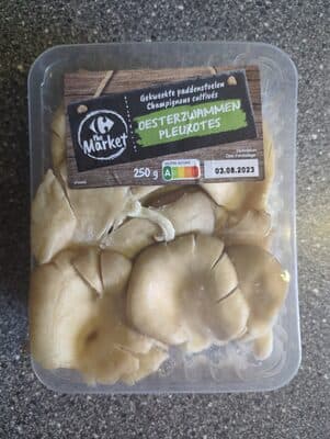 Oyster Mushrooms
