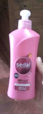 sedal