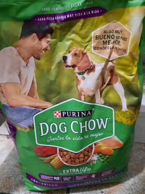 Dog Show