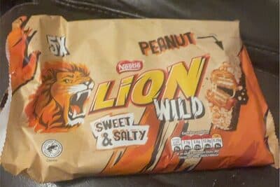 Lion wild