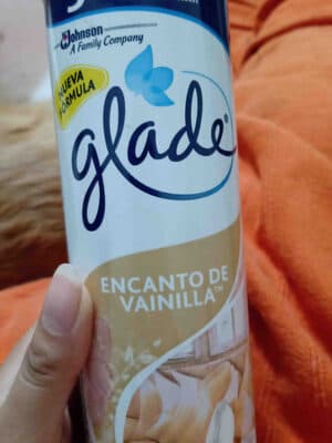 Glade