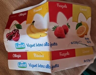 Yogurt Intero Alla Frutta