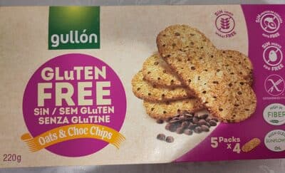 gluten free oats & choc chips