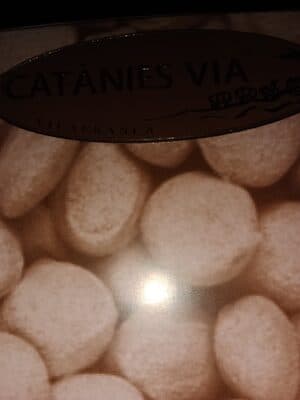 Catanies