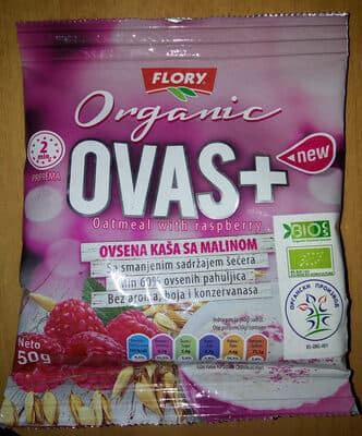 Organic oatmeal with raspberry