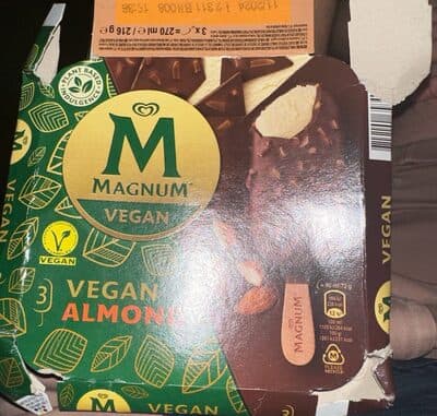 Vegan Almond Ice Cream