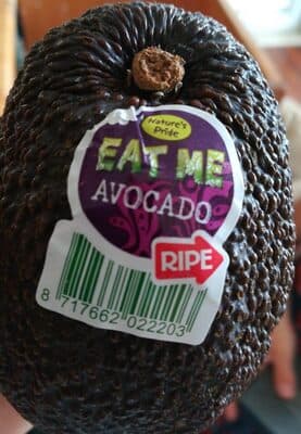 Avocado