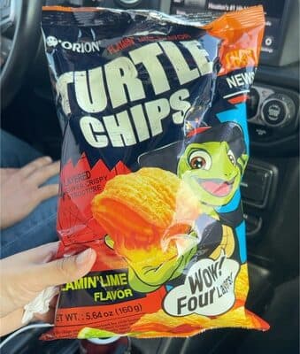 Turtle Chips