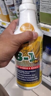 Vitamin B1