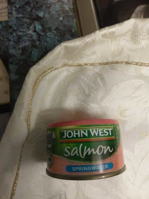 Salmon