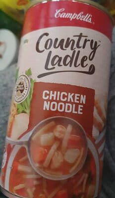 Chicken Noodle Soup