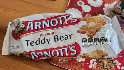 Teddy Bear