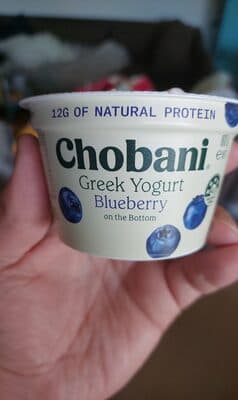 Greek Yogurt Blueberry