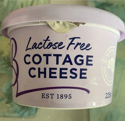 Cottage Cheese Lactose Free