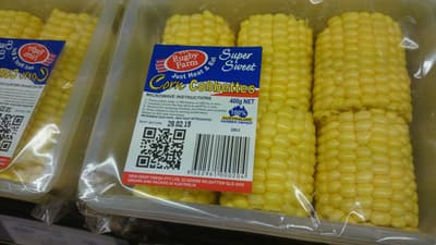 Super Sweet Corn Cobbettes